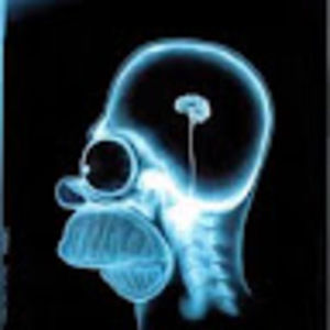 Meet your Posher, Joanne